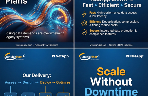 NetApp ONTAP Hybrid Cloud Storage NetApp ONTAP Hybrid Cloud Storage