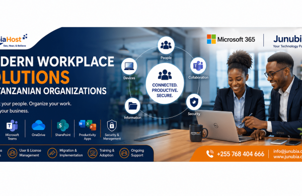 Modren ICT 3 Banner promoting modern workplace solutions for Tanzanian organizations, with JunubiaHost and Microsoft 365 logos and professionals at a laptop.